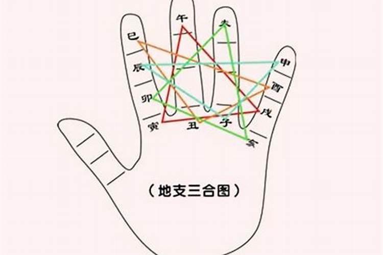 八字三合指哪三合？