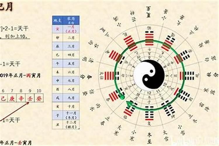 已亥和癸巳合婚吗？