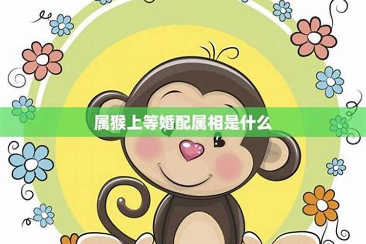 属猴的最佳婚配是什么属相？