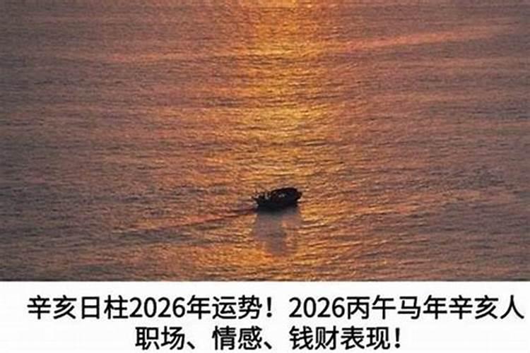 辛亥年生人2026年的运程