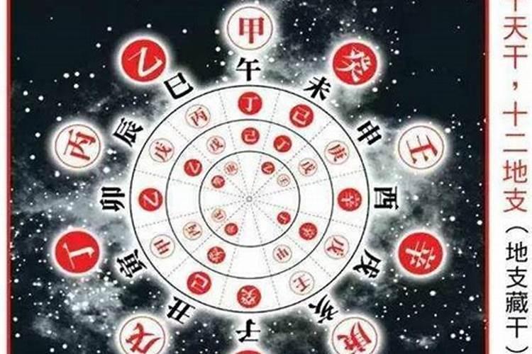 八字地支未与什么合？