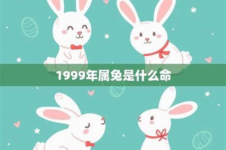 1999年属兔润五月18出生运程