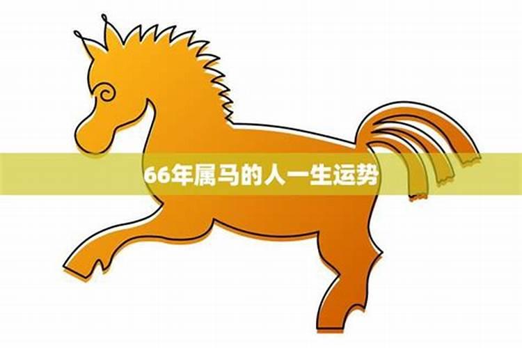属马如何提高财运？