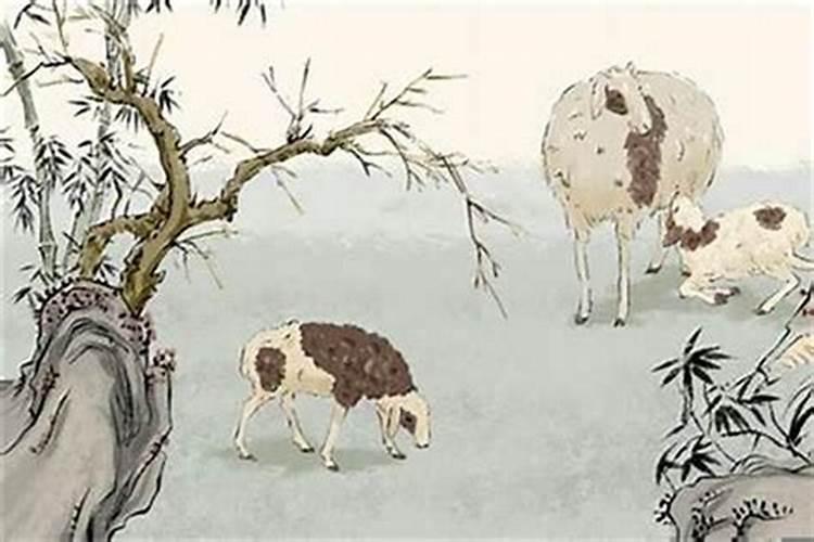 土羊和木鼠的八字合吗？