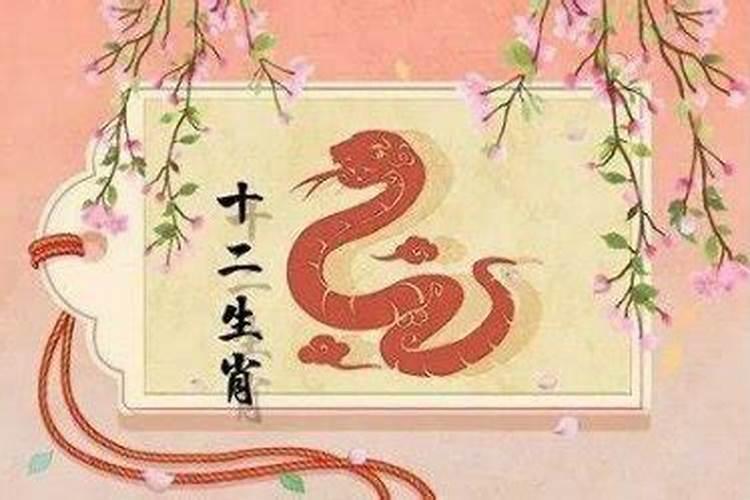 属蛇的人明年犯太岁吗？