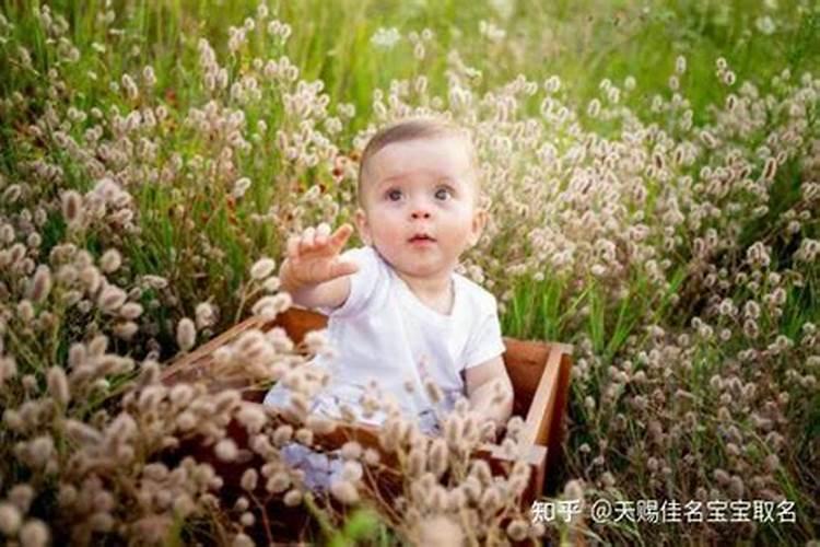 适合立秋出生的孩子名