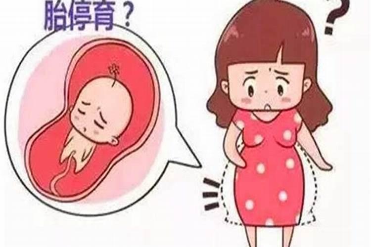 胎停育算阴债吗？