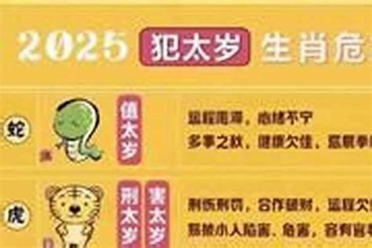 老鼠犯太岁什么意思？