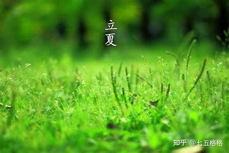 立夏的风俗有哪几个？