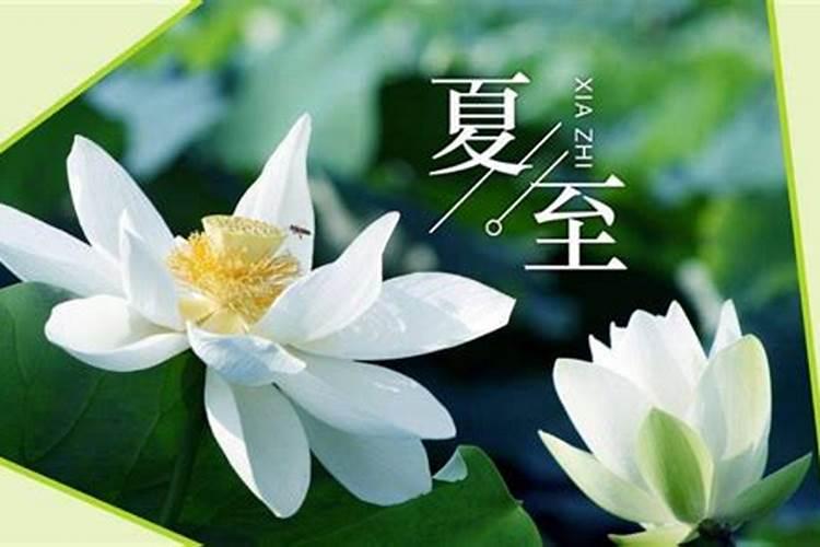 夏至大家都有什么习俗？