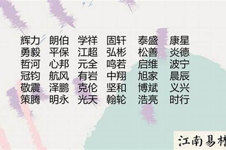 取名男孩文雅的名字