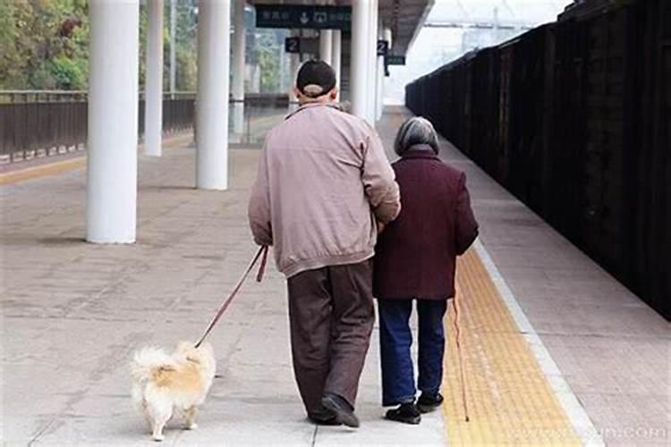 梦见死去的爷爷保护自己