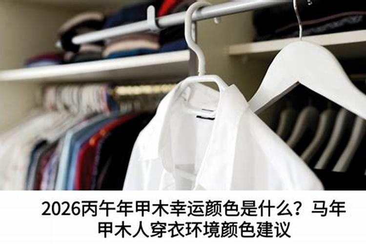 甲木人2026下半年运势