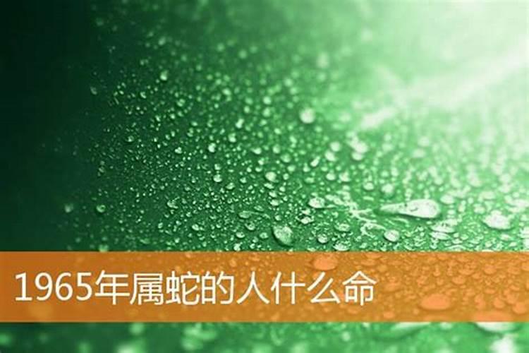 1965年什么命？