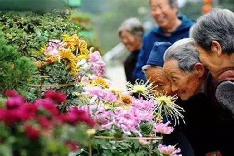 河北省重阳节全国各地的习俗