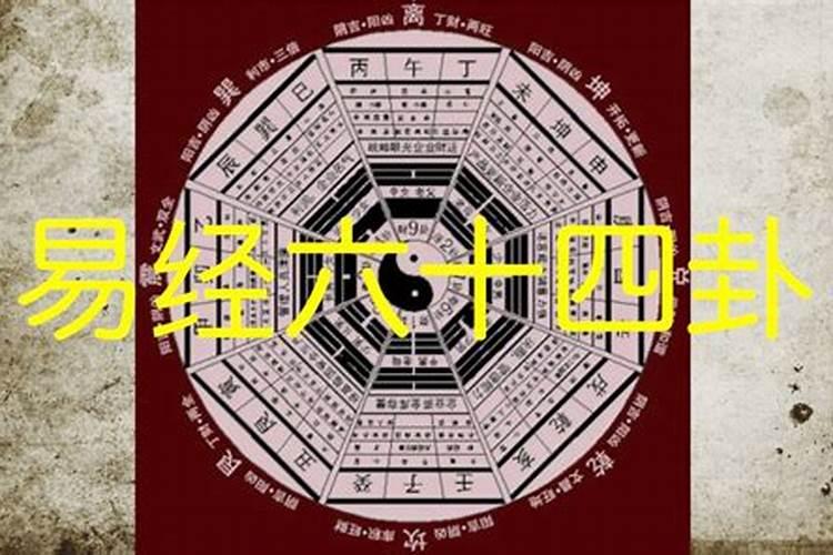 八零年今年的运势如何？