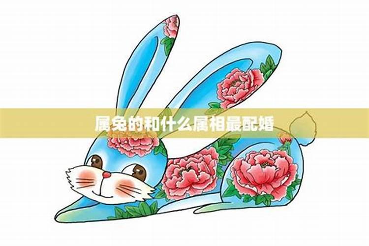 属兔结婚配哪个属相最为好？
