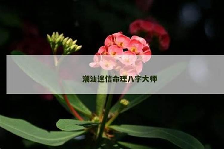 潮汕人为什么要合八字？