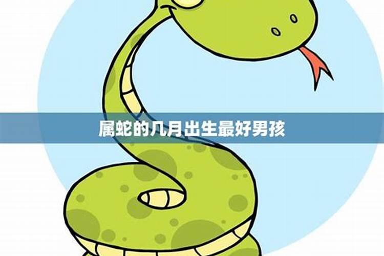 蛇年十月初一出生男孩