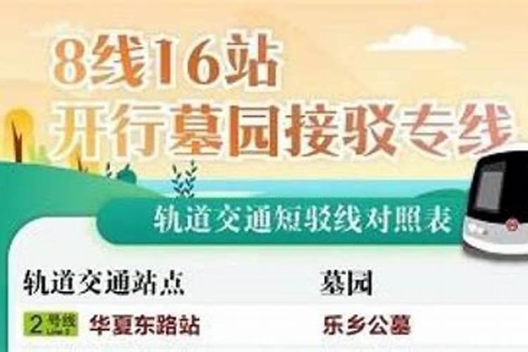新站公交冬至祭扫