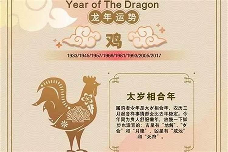 生肖运势2026年运程鸡