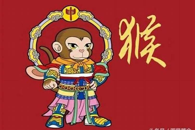 1980属猴的一生运势如何？