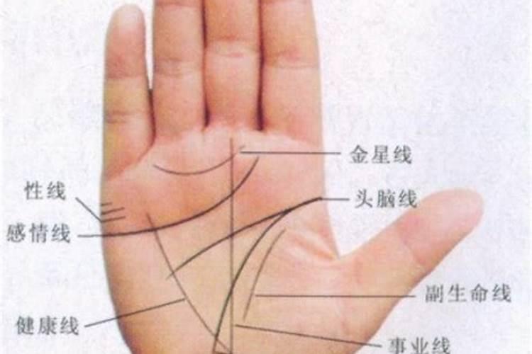 怎么看手相算婚姻？