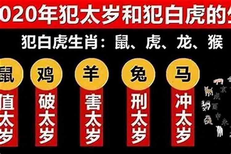 犯太岁不宜做什么？
