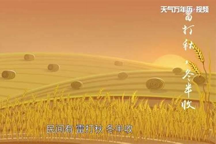 1981年立秋是哪一天？