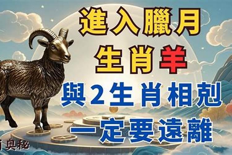 羊人腊月财运