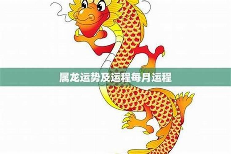 2026属龙的运程怎么样？