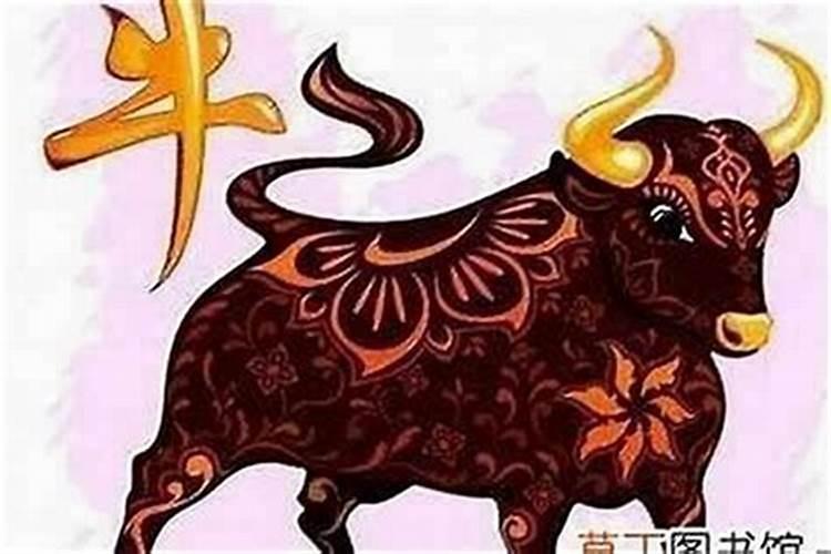 属牛的婚姻八字怎么样？