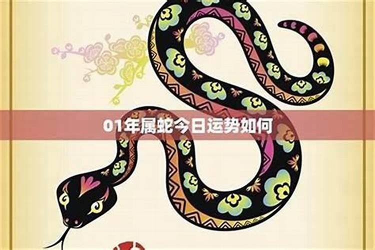 属蛇人2026九月份运势如何？
