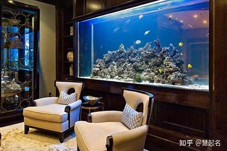 家里鱼缸养几条鱼最好风水？