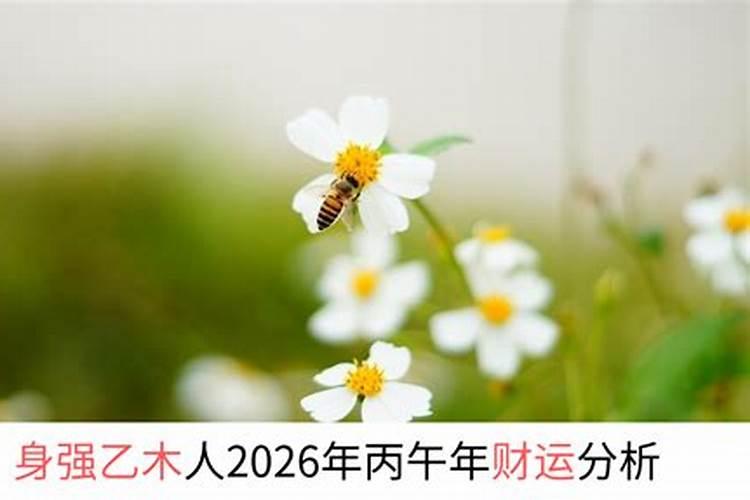 乙木人2026年运程