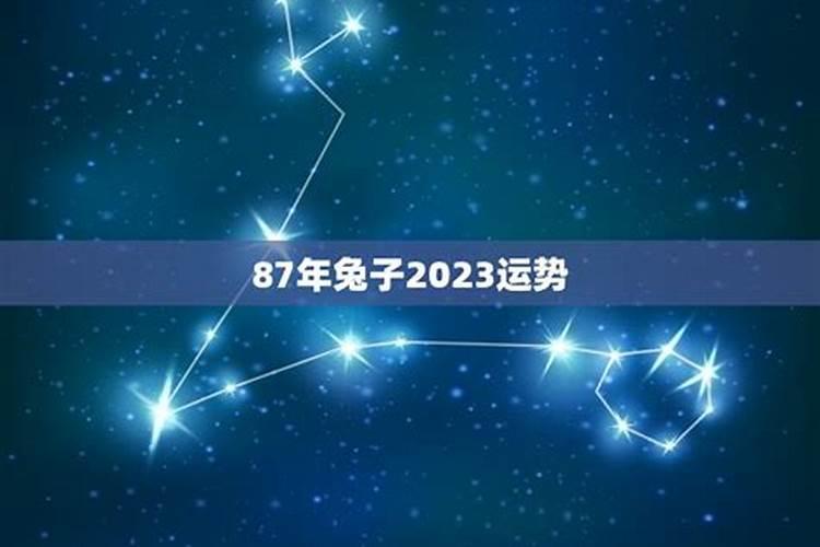 87年兔子2026年5月运势如何？