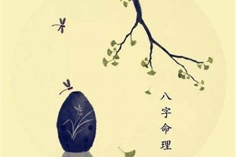 女追男的八字命理