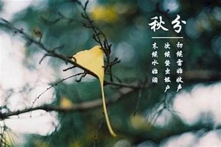 秋分之后是几月？