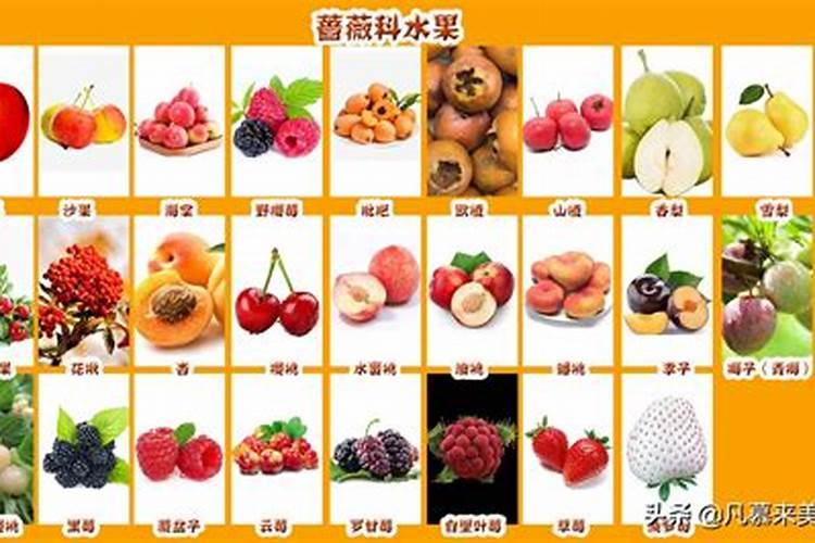 腊月份有哪些水果成熟？