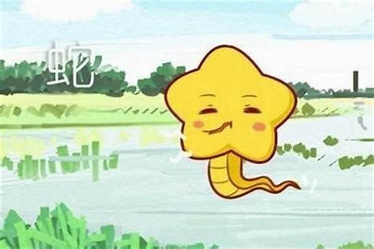 属猪和属蛇的人合婚吗？
