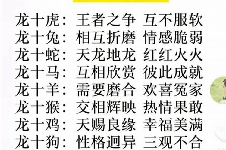 属狗不宜住几楼？