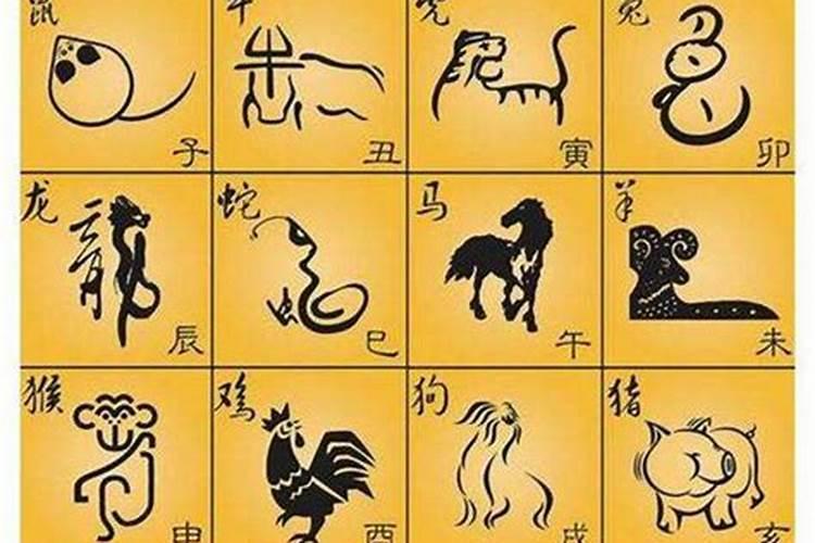 关于属相合婚准吗？