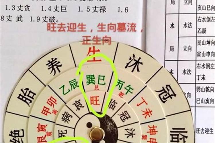 乾巽兼亥巳旺什么人？