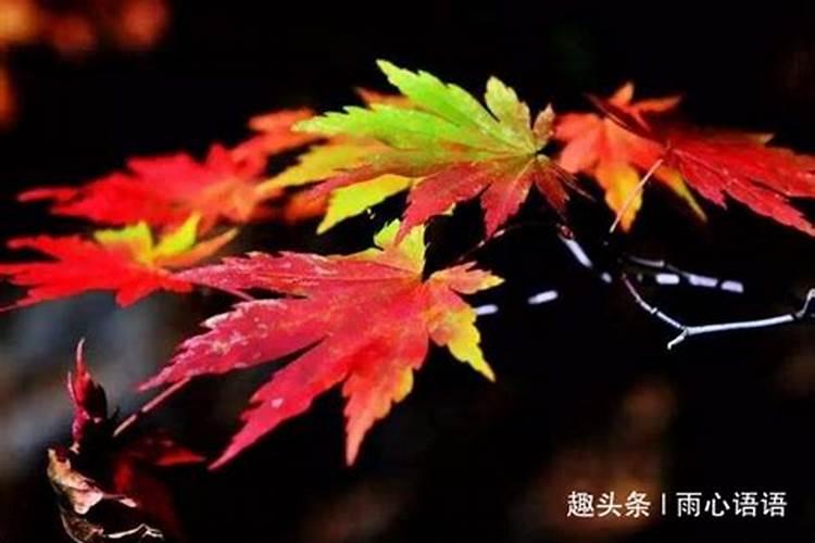 小孩出生后给家里带来运势