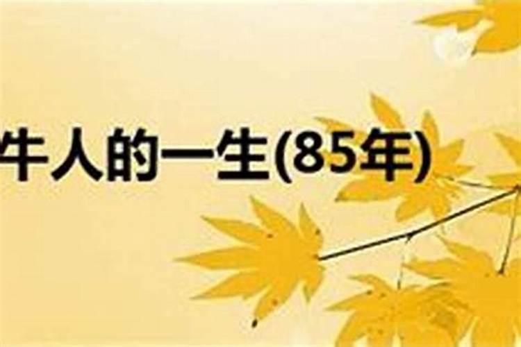 85年女肖一生运程