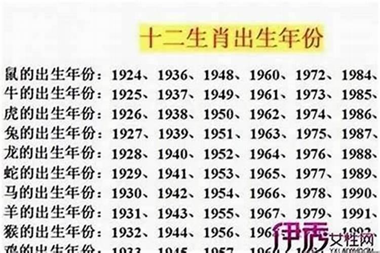 属兔的冲太岁怎么办？