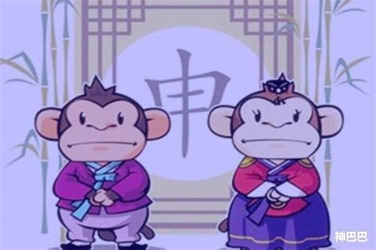 属猴的最佳婚配