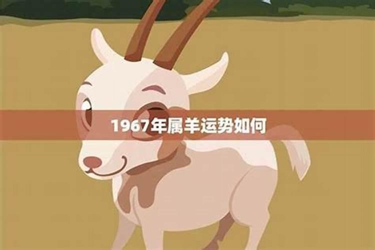 1967年羊年的人的运程如何？