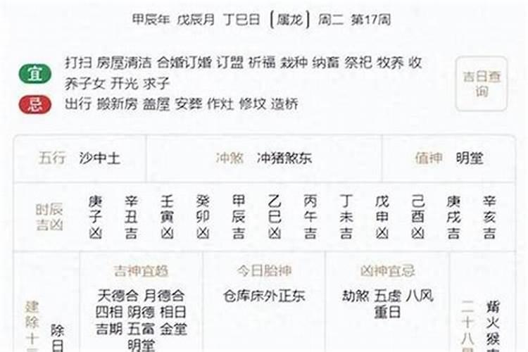 三月十五猪命