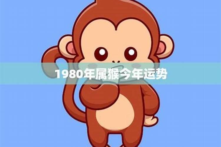 80年12月的猴今年运势